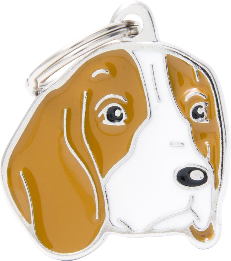 MyFamily Friends, Beagle