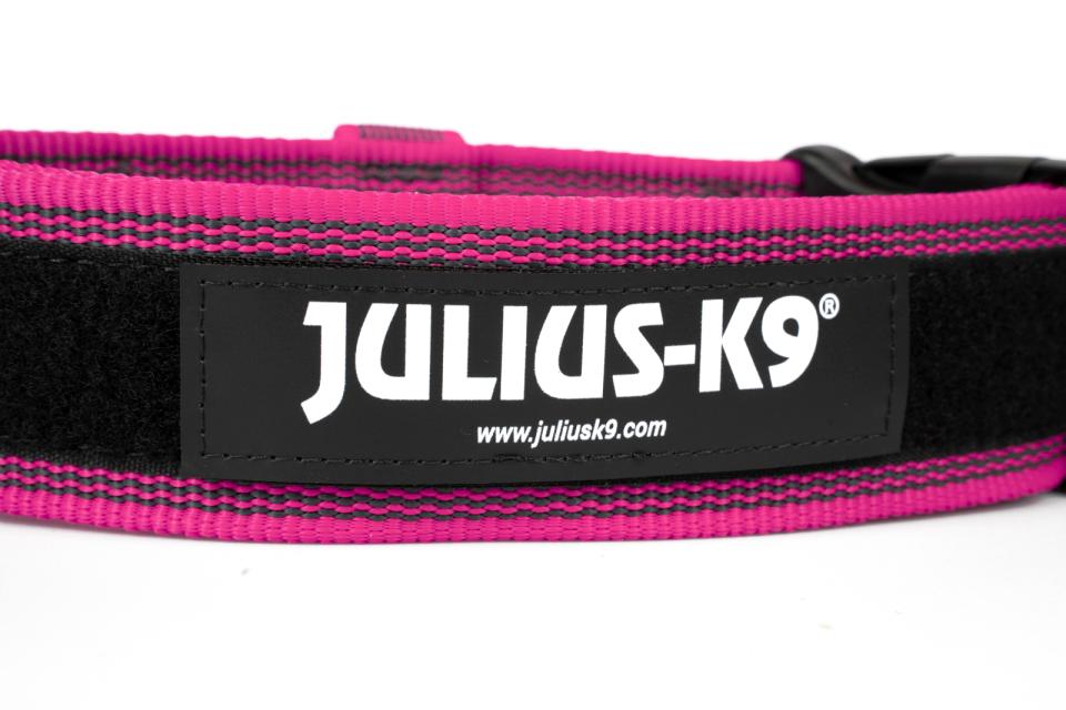 Julius-K9 C&G collars with handle