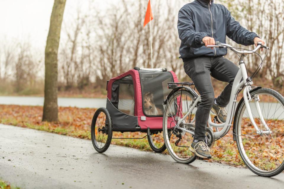 Trixie cykeltrailer