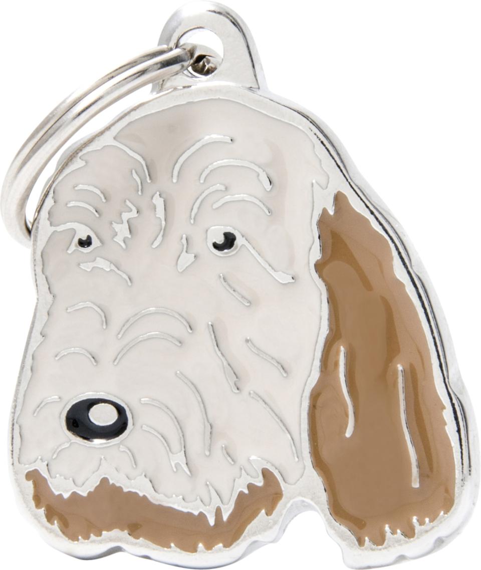 MyFamily Friends, Italiensk Spinone