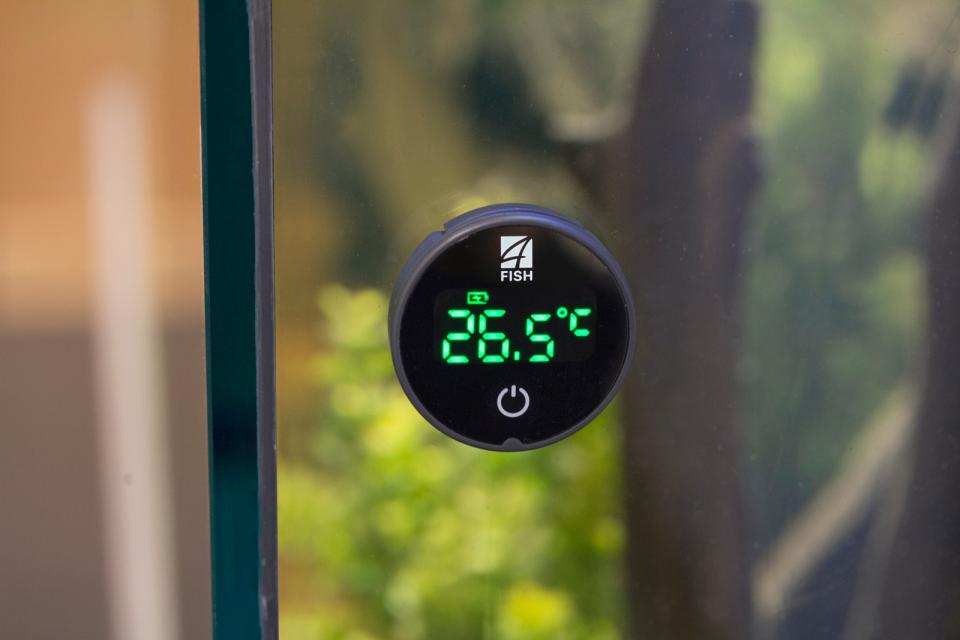 4FISH Digitalt akvarietermometer