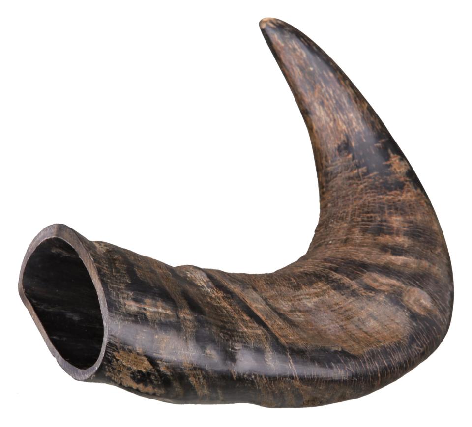 Trixie Buffalo tygge horn