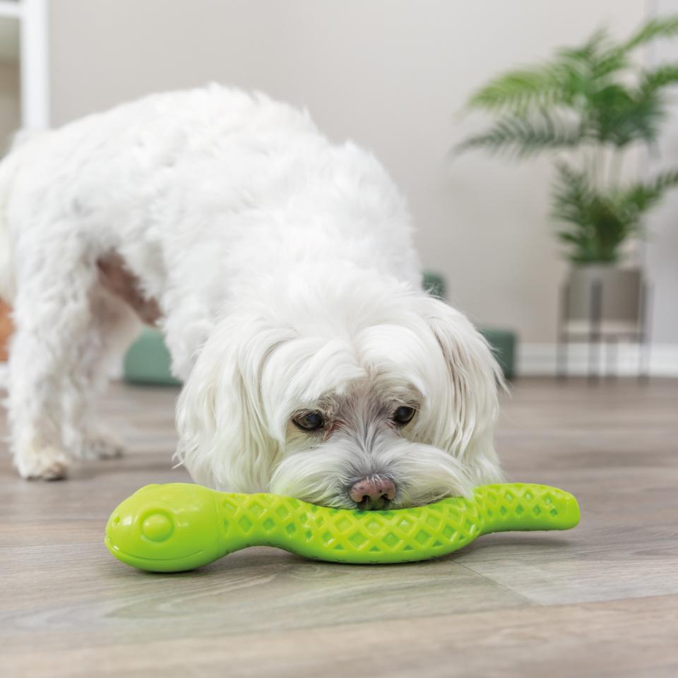 Trixie Snack Snake