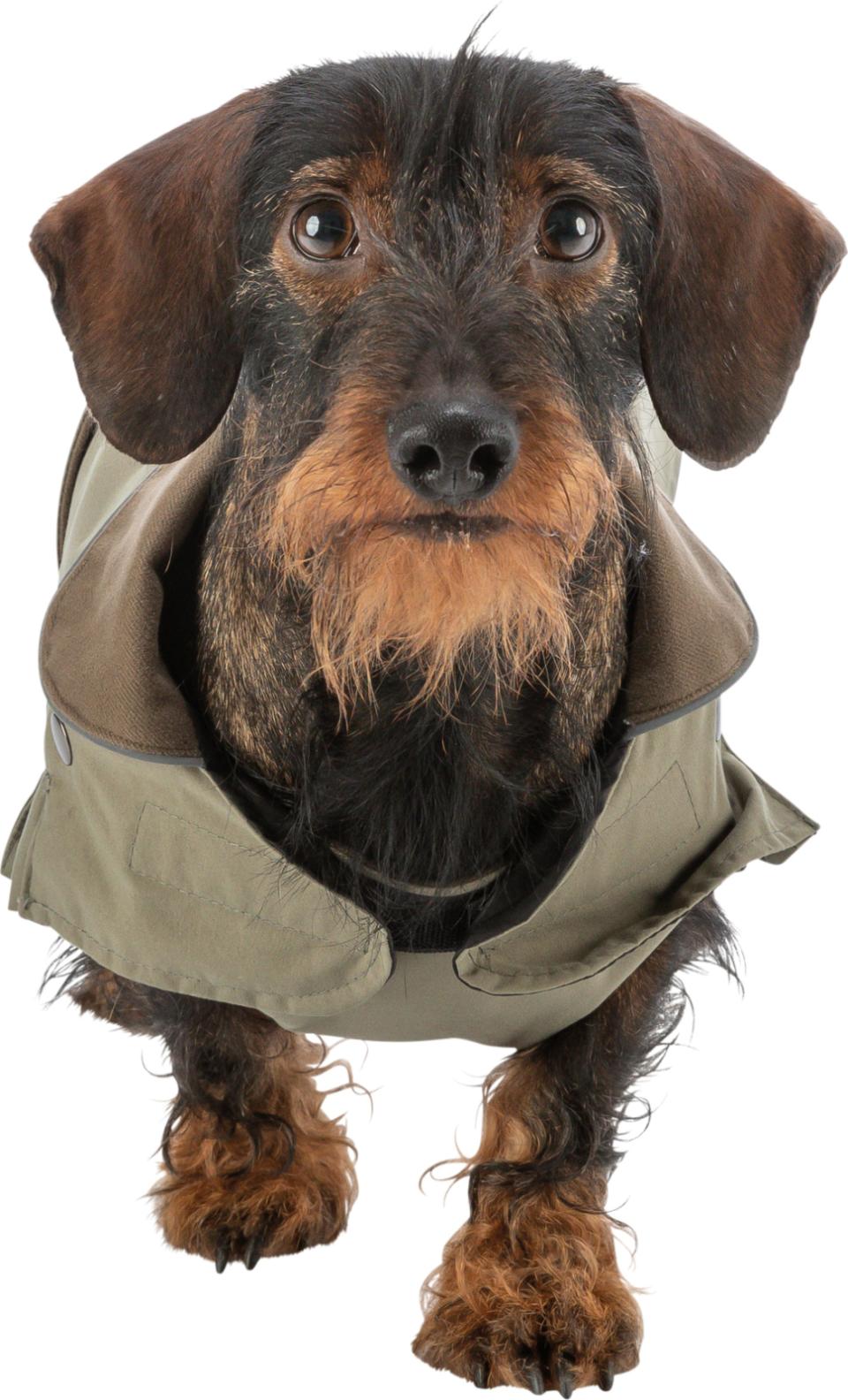 Trixie Hermy hundejakke - til smal, lang hund