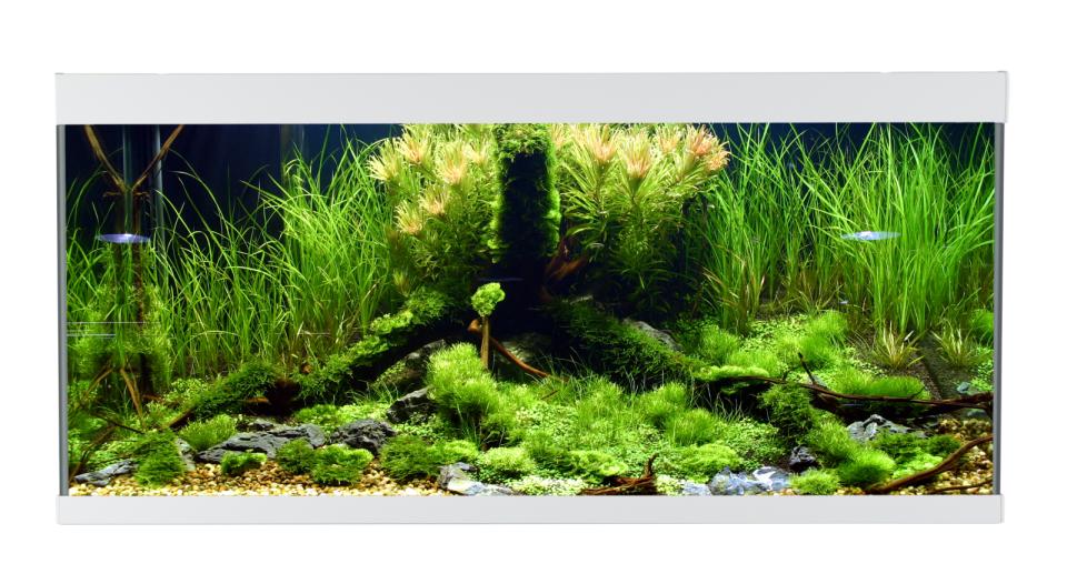 AkvaStabil ELEMENT Akvarium