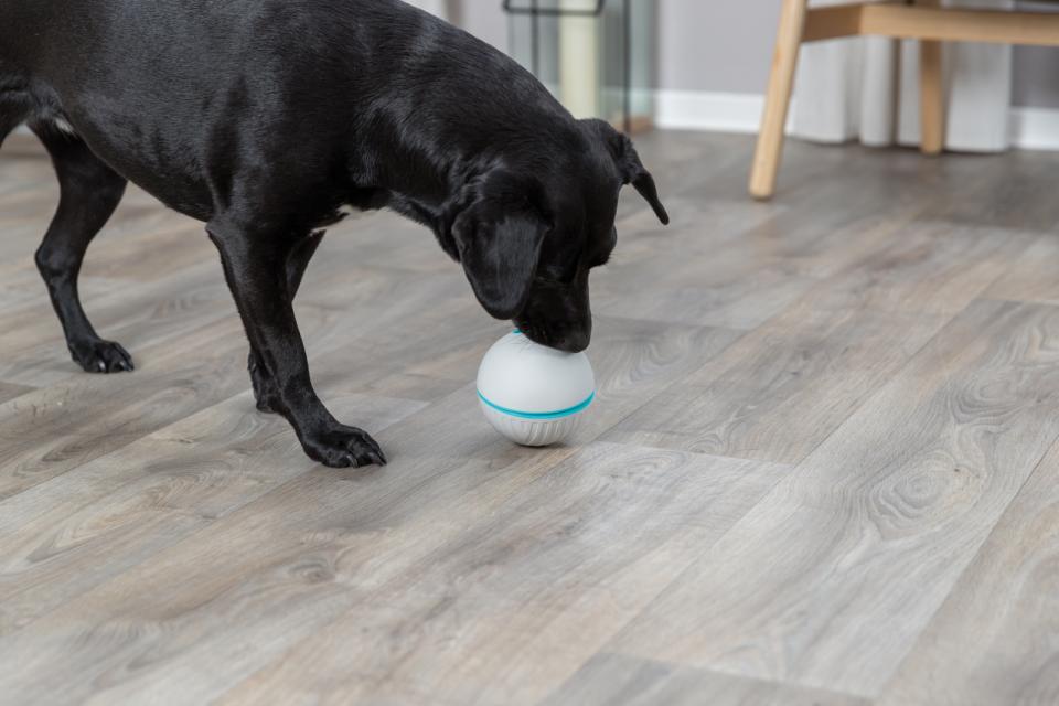 Trixie Snackbold i plastik