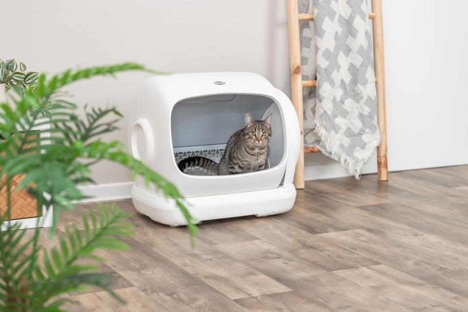 Trixie selvrensende kattetoilet XL