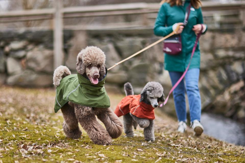 Hurtta ECO Mudventure, dekken