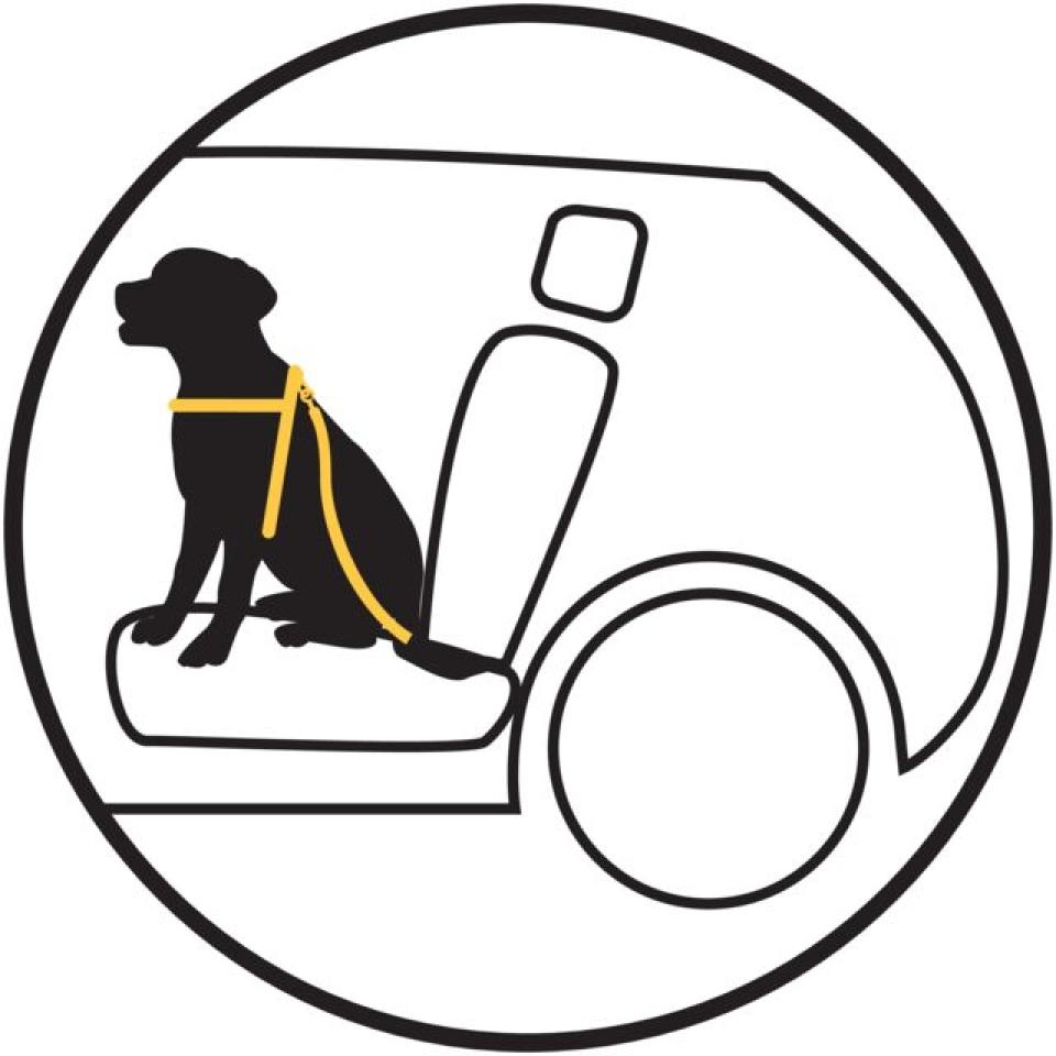 Jolly Paw Bilsele med sikkerhedsbælte