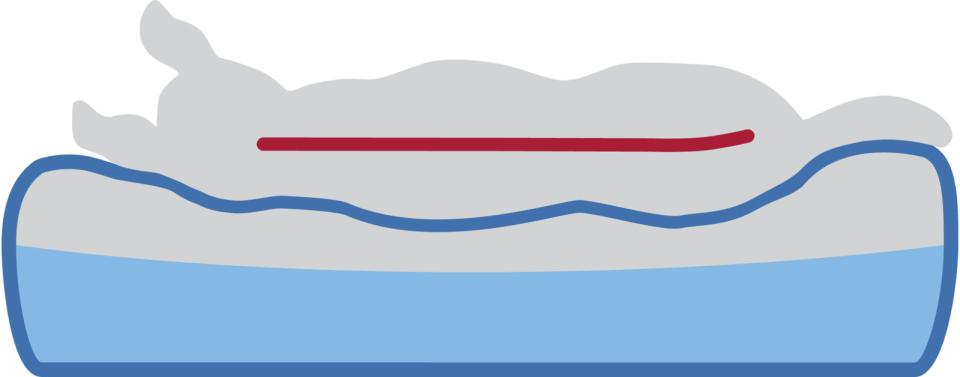 Trixie Lino vitalseng, firkantet