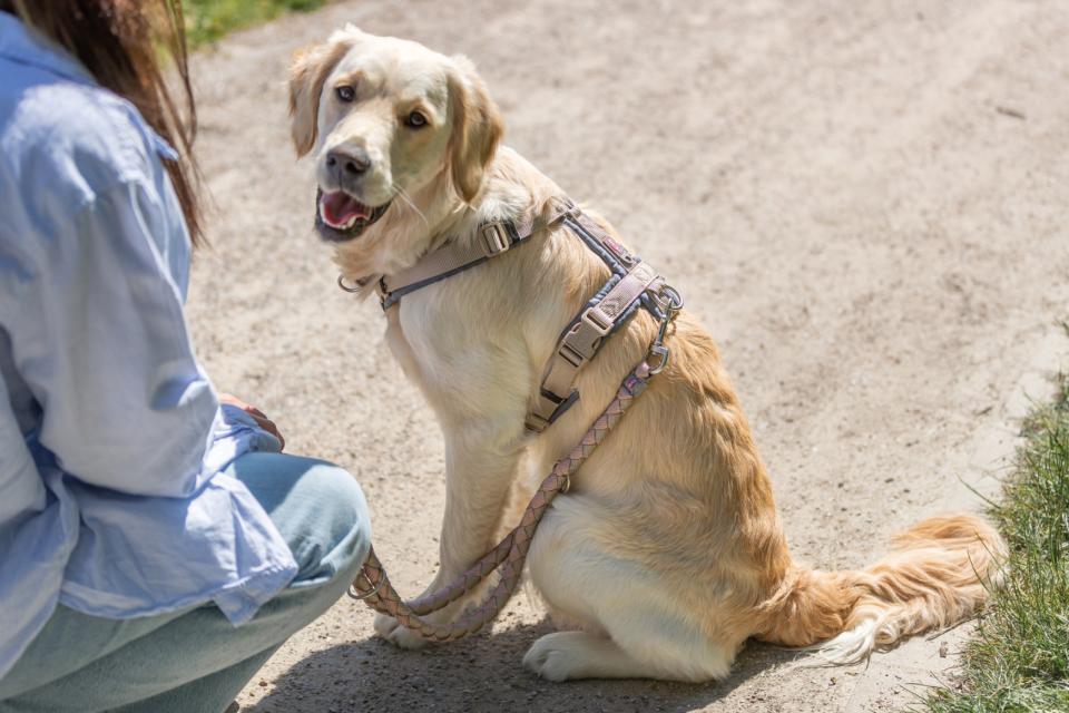 Trixie Premium trekking Sele