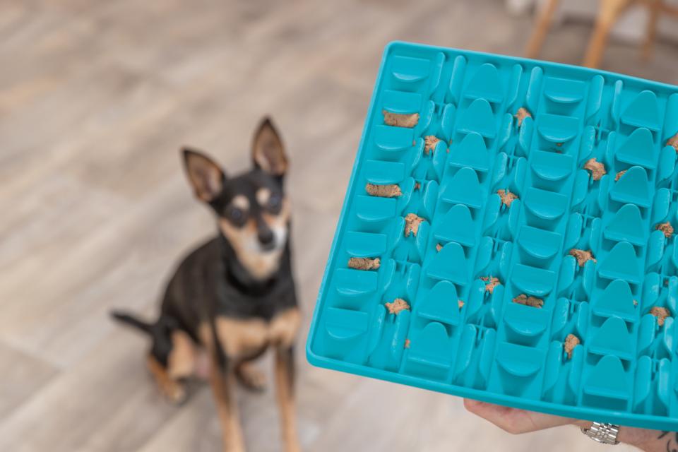 Trixie Lick'n'Snack måtte