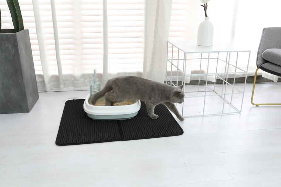 Companion foldbar kattebakke måtte