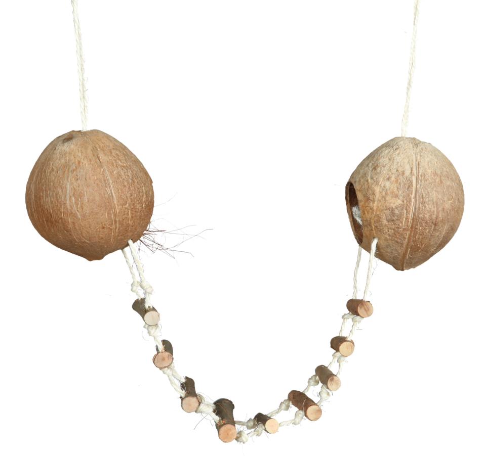 Kokosnøddehus, hamster