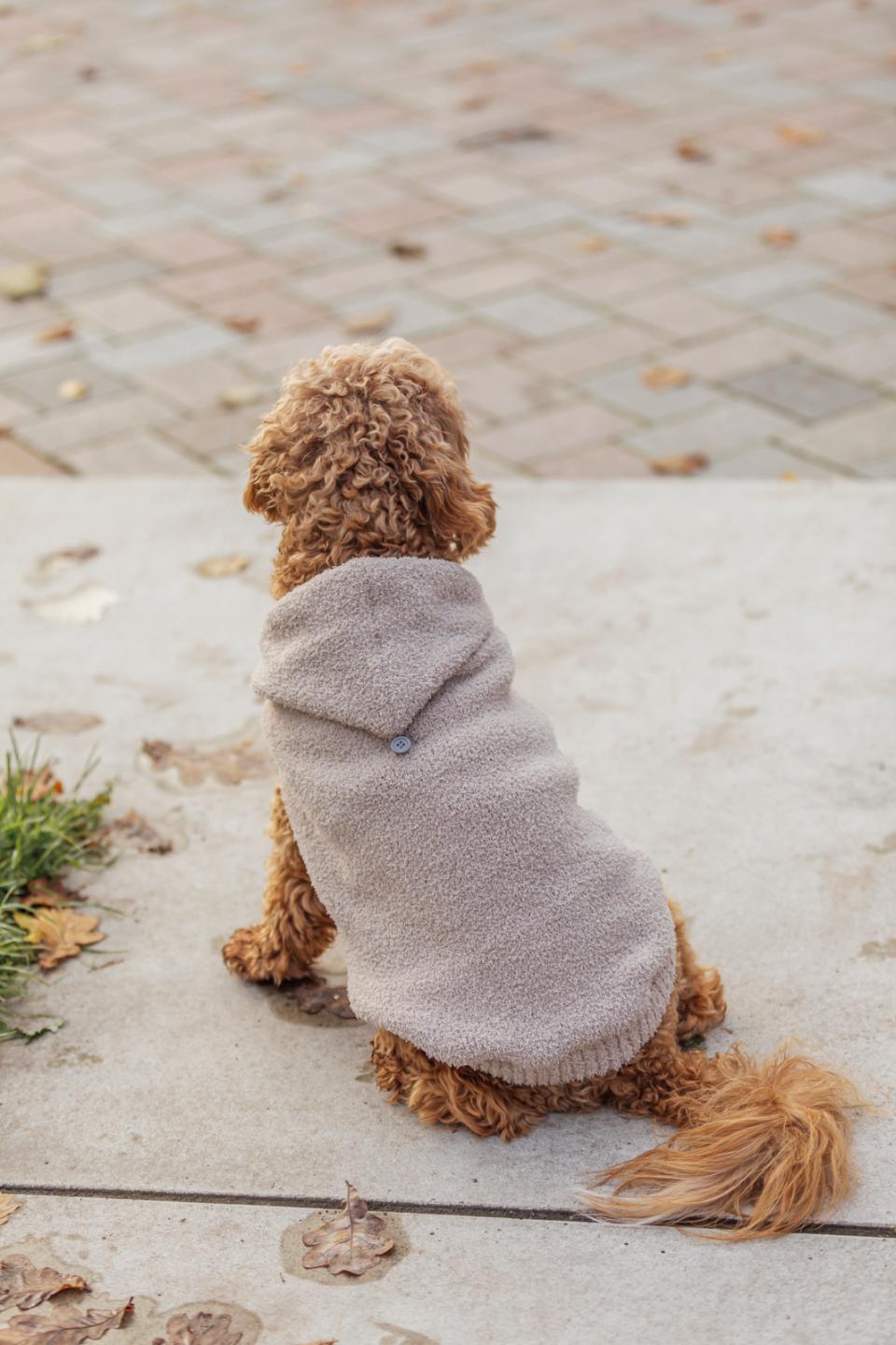 Trixie Carson hoodie til hunde