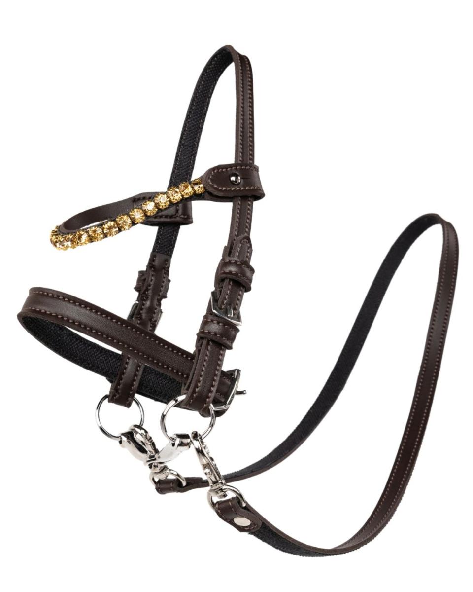 My Hobby Horse Bridle brown, with gold stone