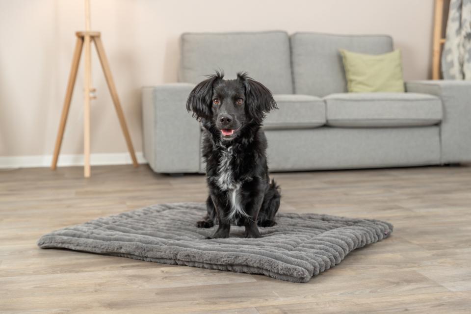 Trixie Lonni liggeunderlag, fløyel fleece