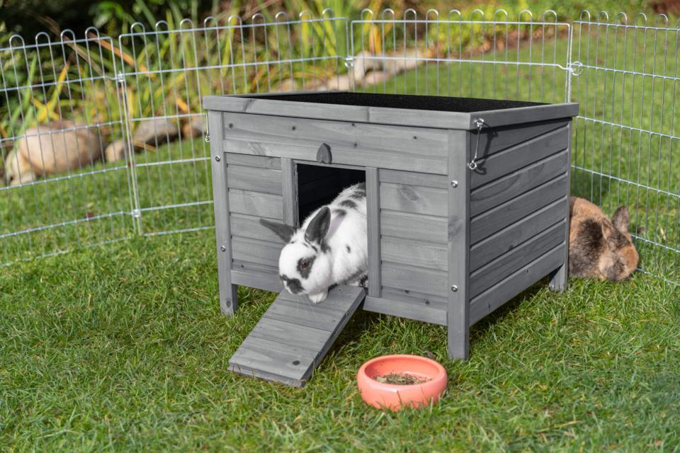 Trixie Udendørs hus til små dyr