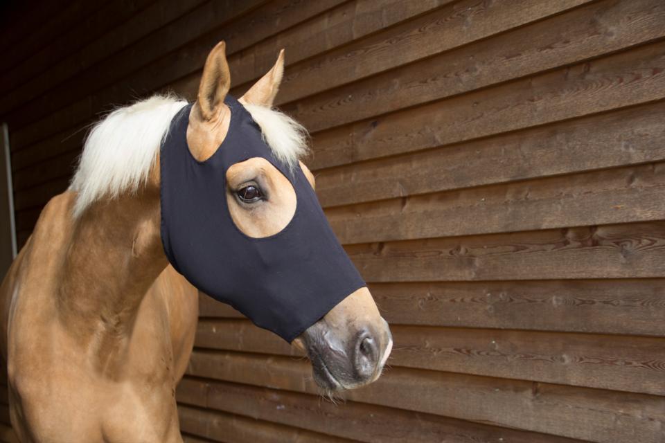 CATAGO FIR-Tech maske