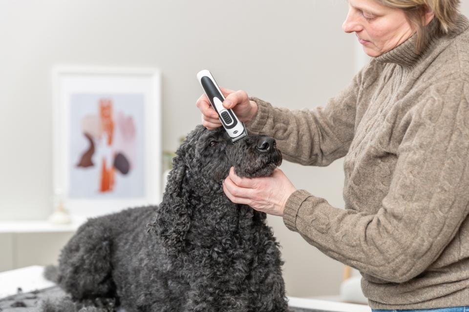 Trixie klippemaskine til batteri SLIM TR500