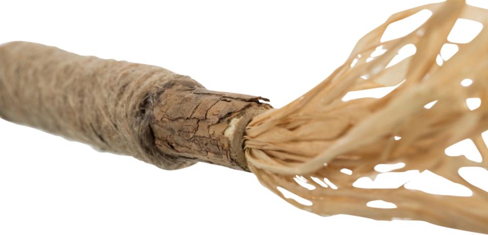 Jolly Paw Matatabi stick with tassels