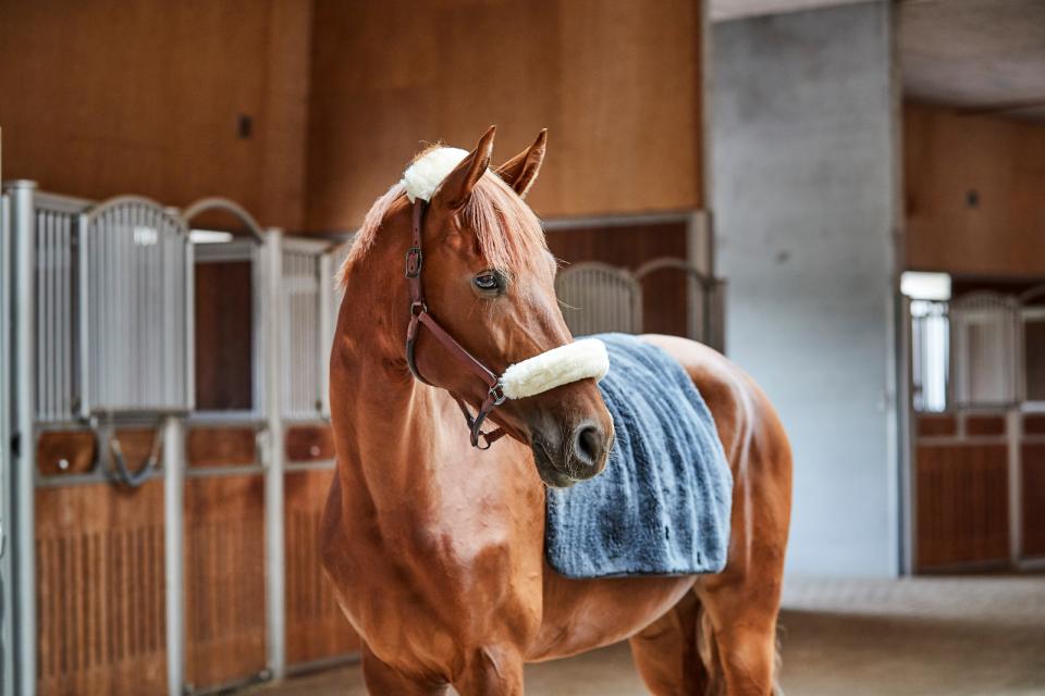 CATAGO Halfter m. im. Lammfell