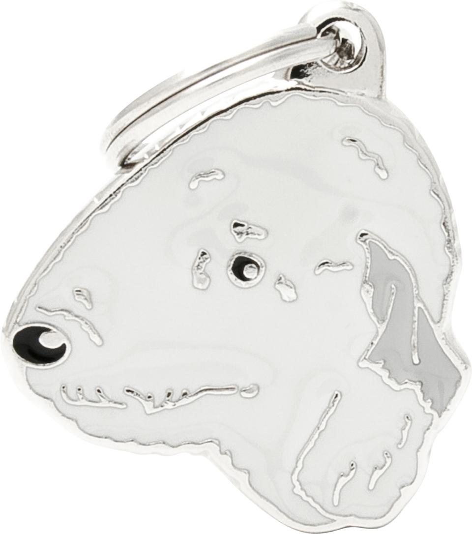 MyFamily Friends, Bedlington Terrier