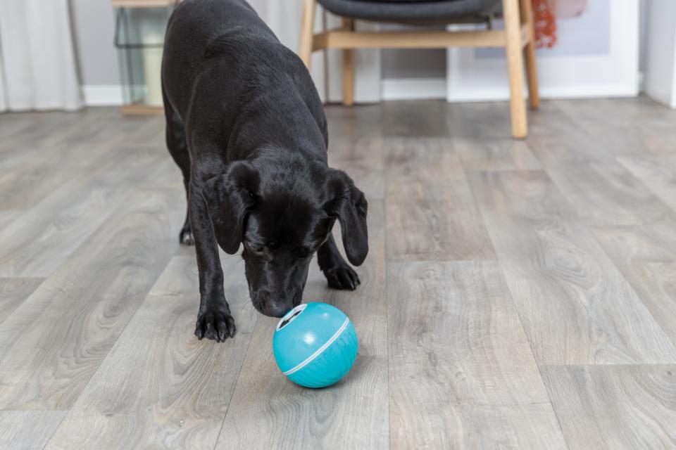 Trixie Snackbold i plastik