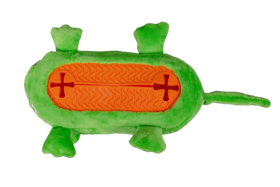 Companion Dinosaur kosedyr