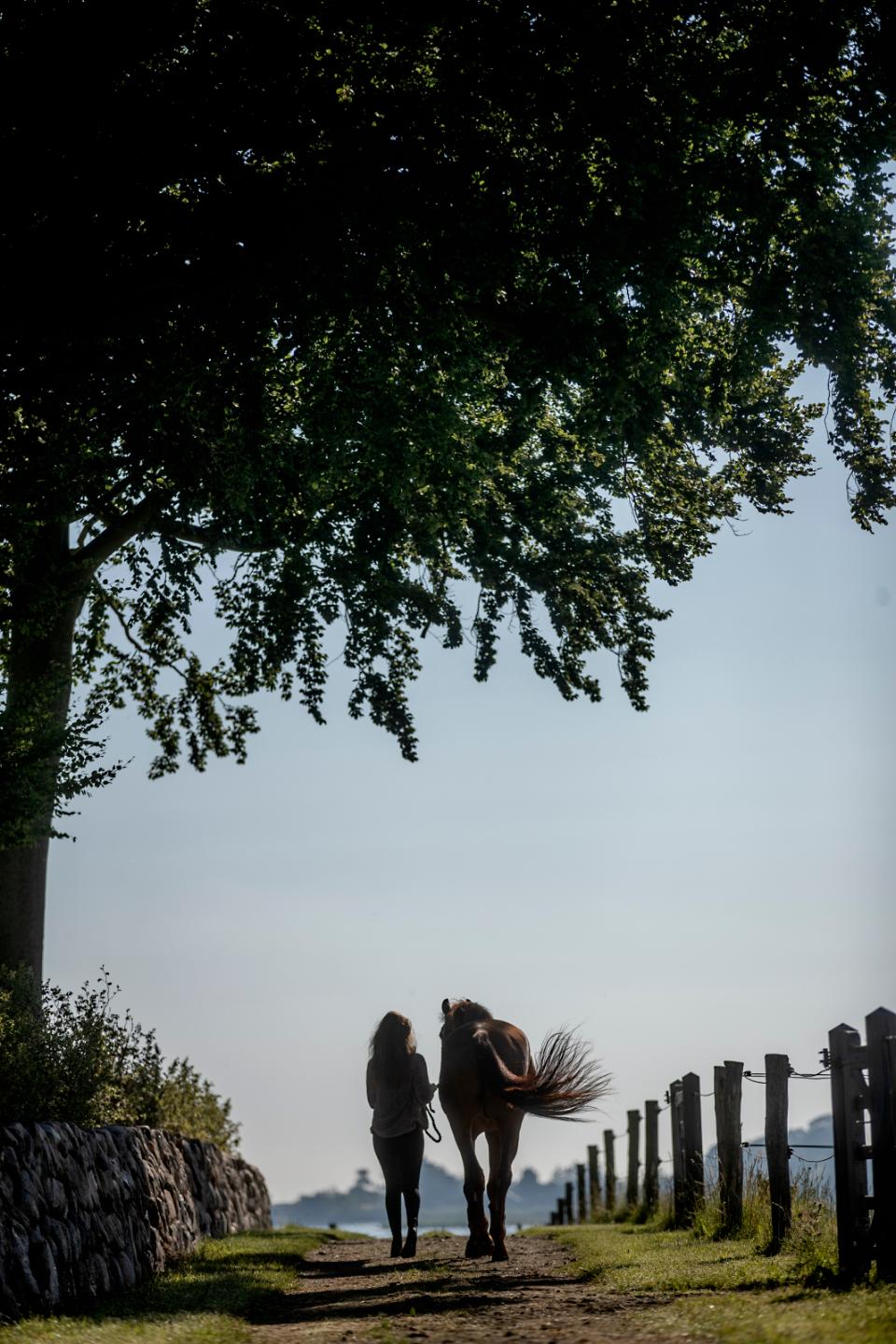 Equipage Miles zip ridejakke