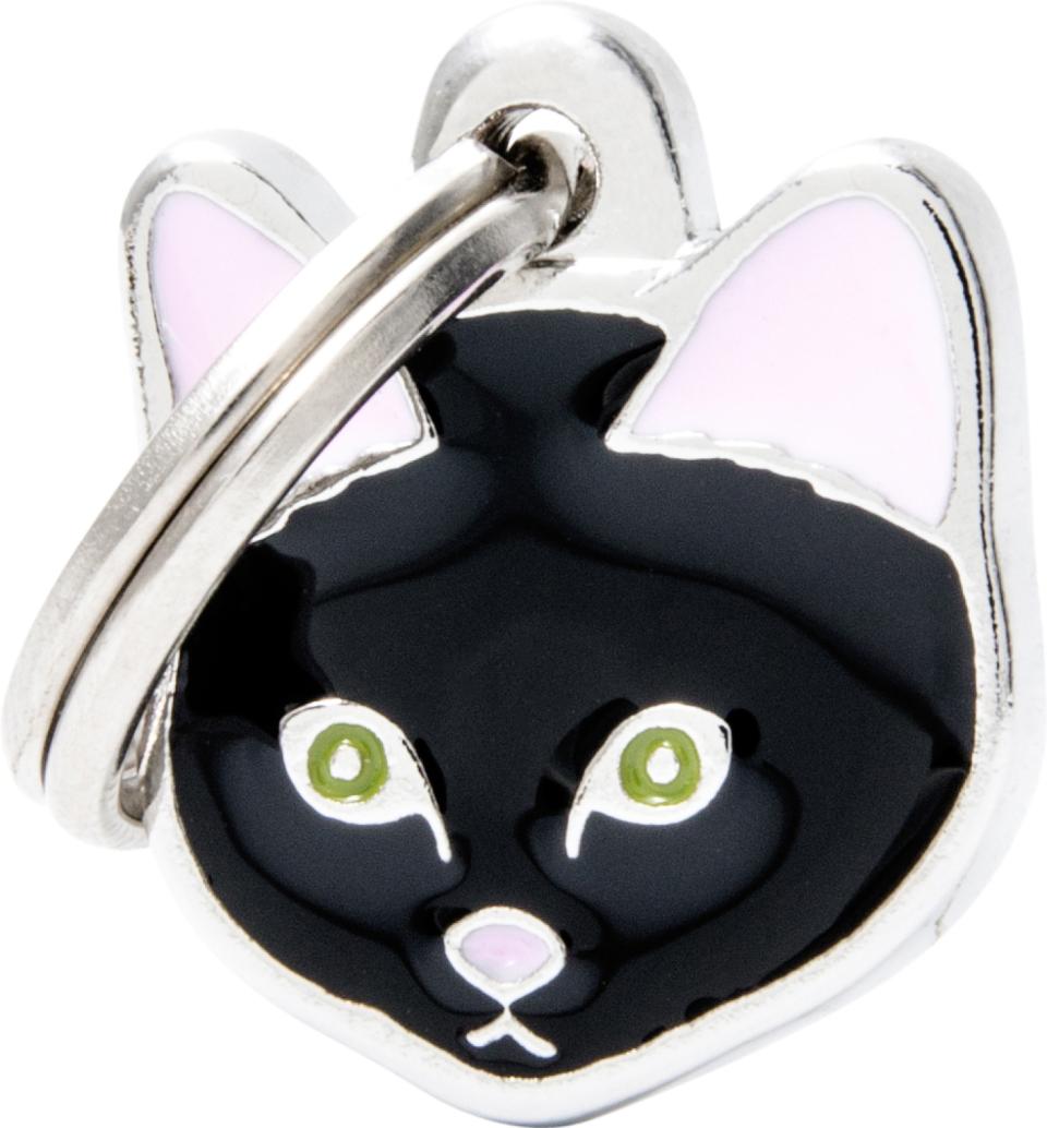 MyFamily Friends, Europæisk korthårskatt