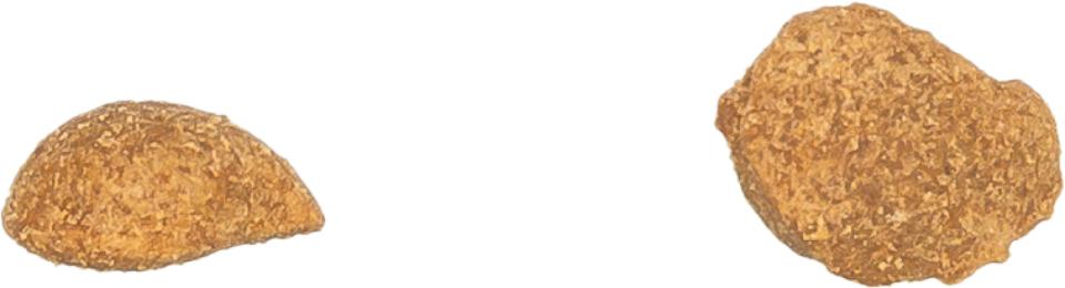 Trixie Nuggets med kyllingebryst og laks