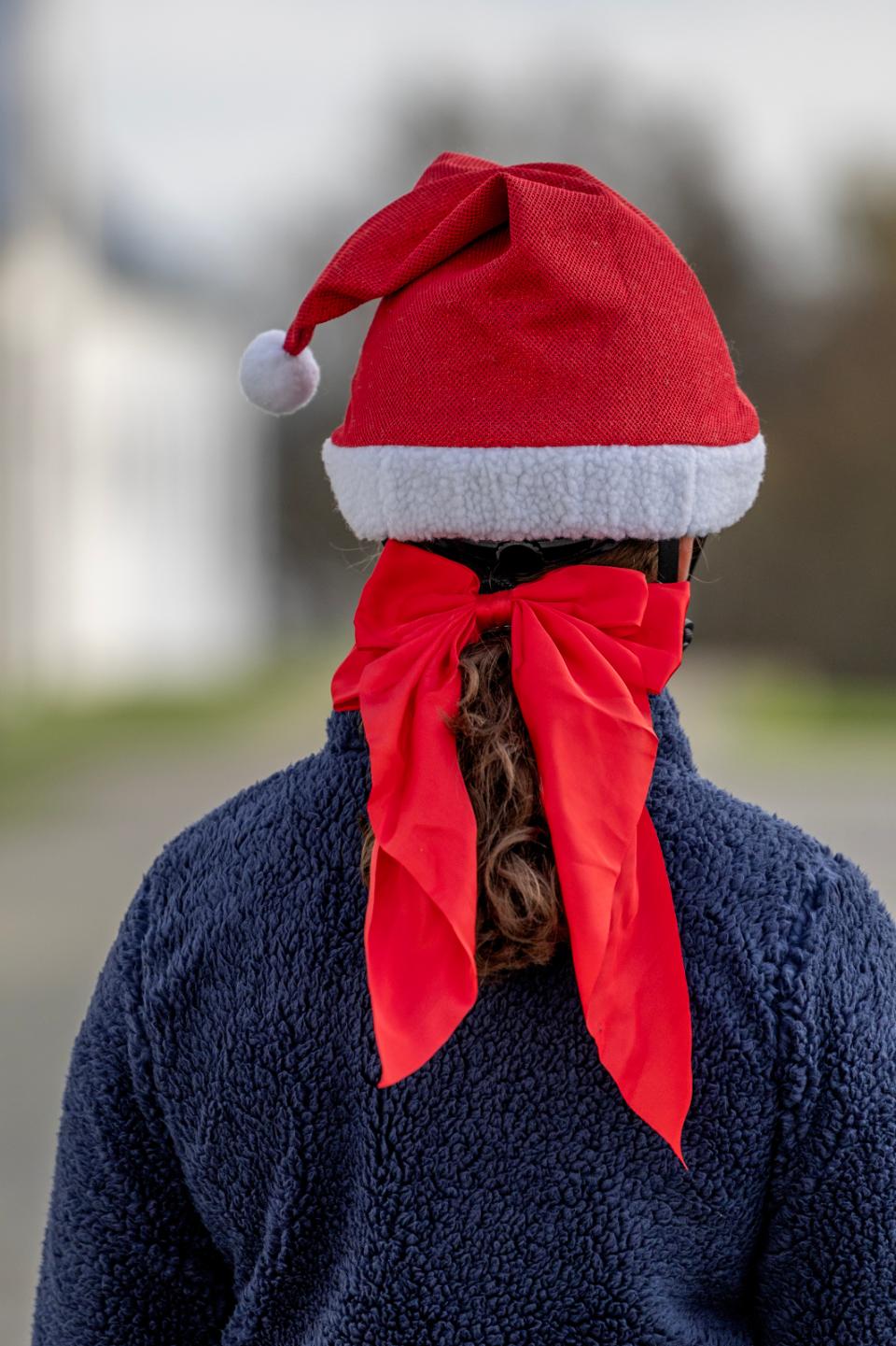 HorseGuard Christmas bow