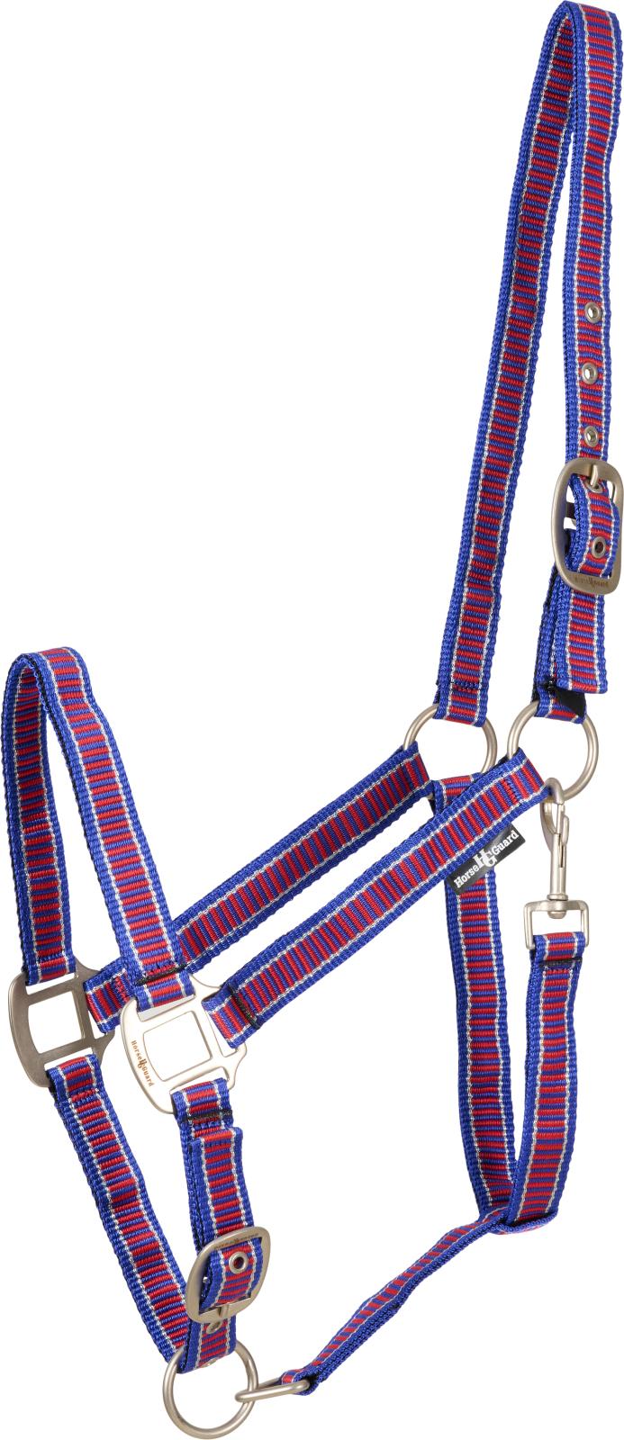 HorseGuard Rio grime