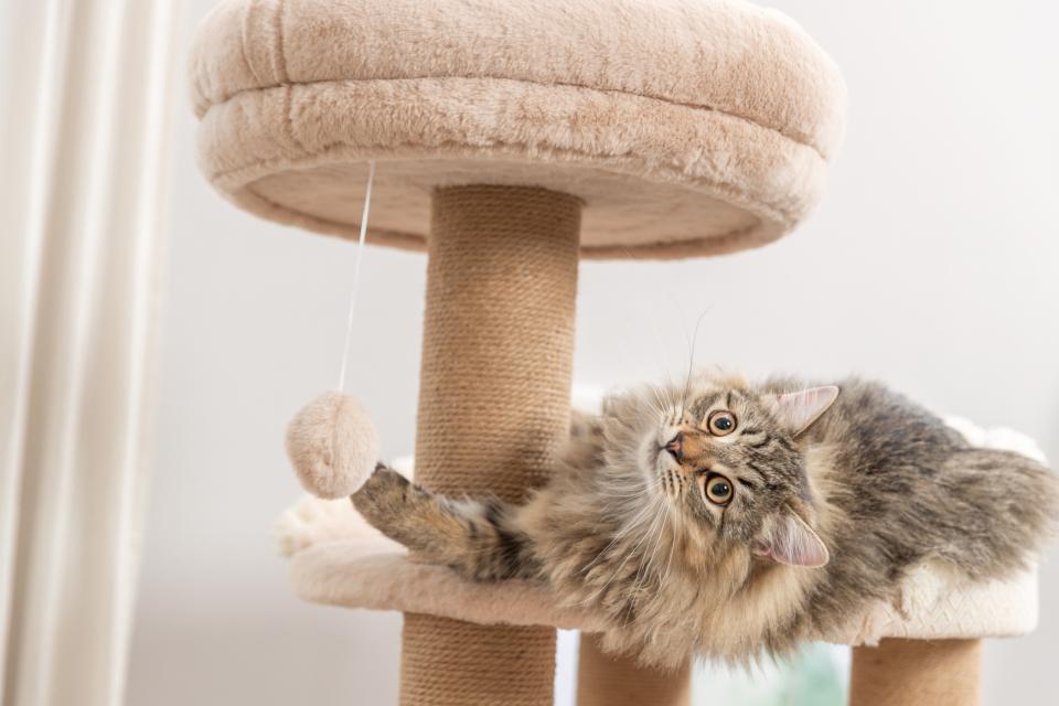 Trixie Boho Fillippo kradsetræ