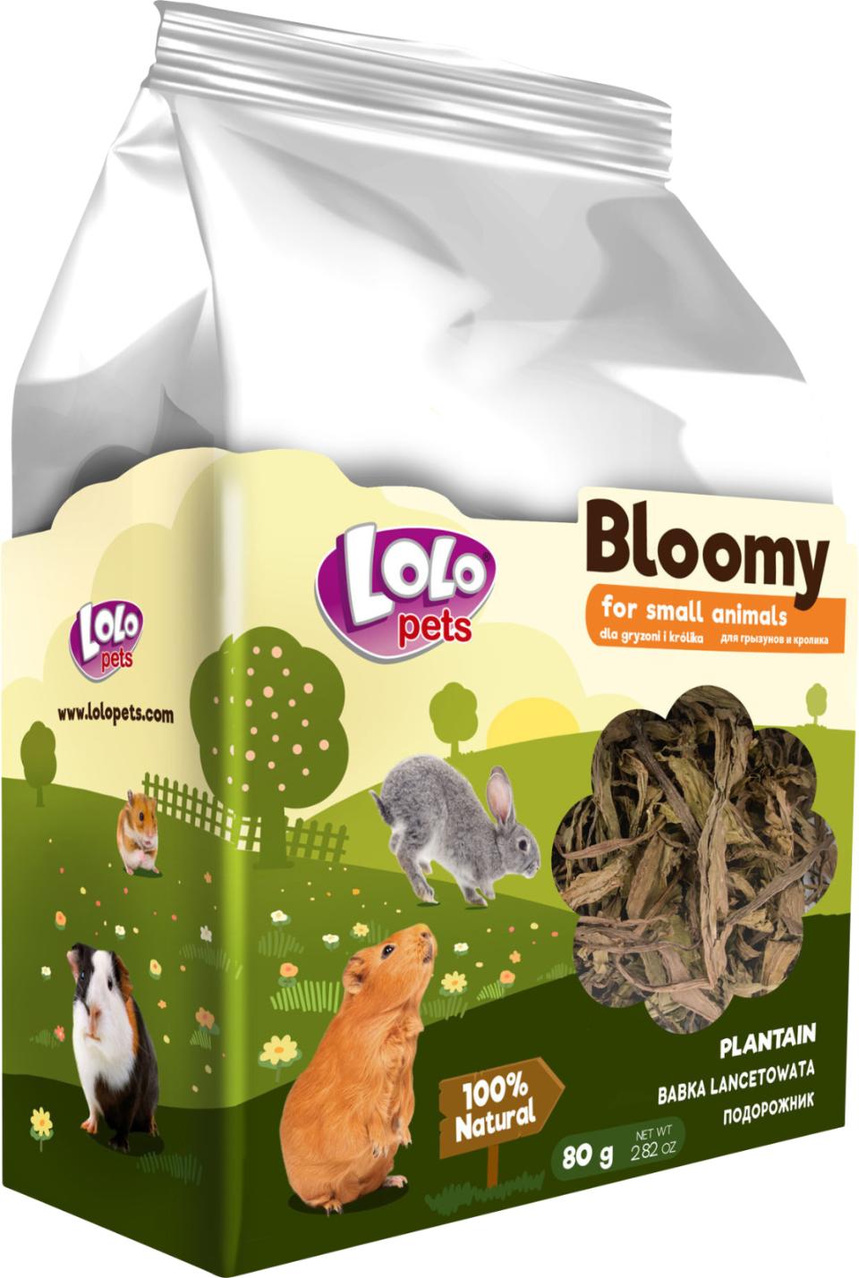Bloomy Plantain for rodents and rabbits