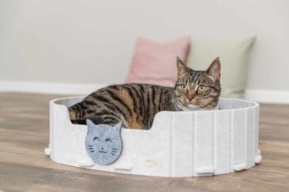 Trixie Emelie katteseng, filt, oval