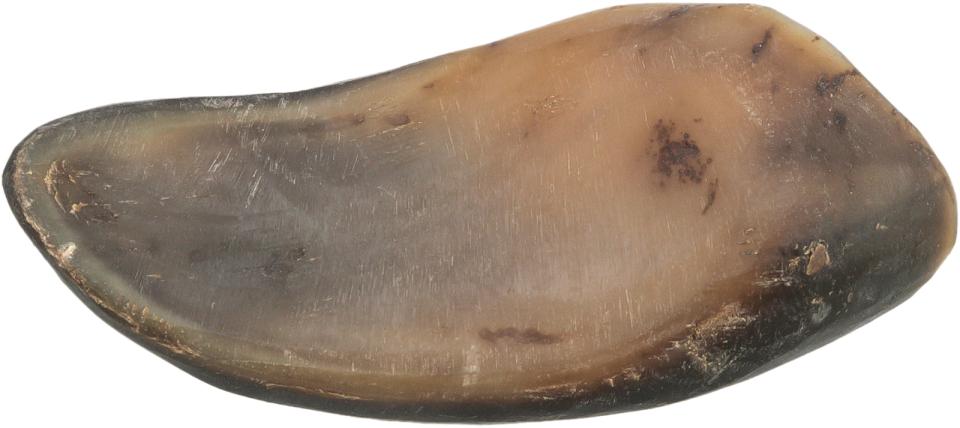 Trixie Buffalo horn med fyld