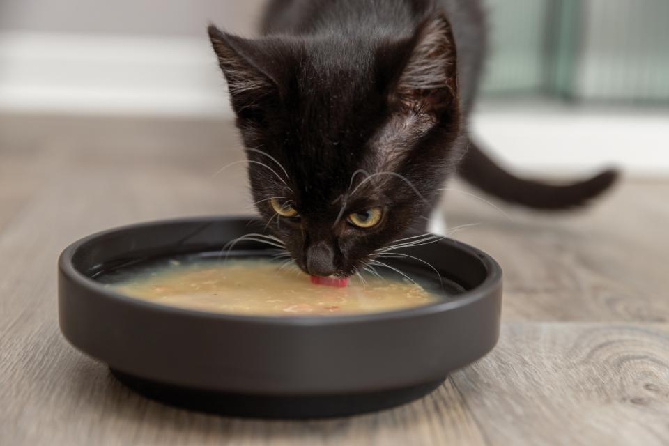 Trixie suppe med kylling og laks