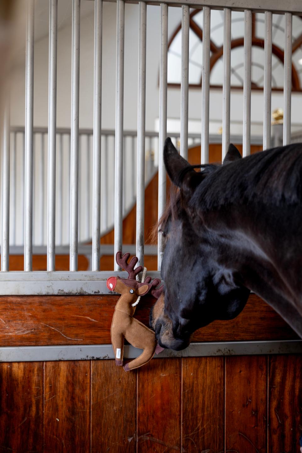 HorseGuard hestelegetøj Rensdyr