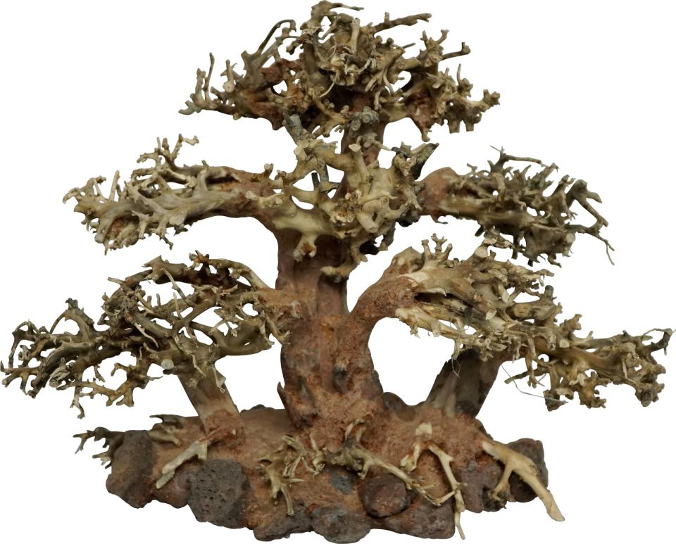 4FISH Trerøtter, Tree Island