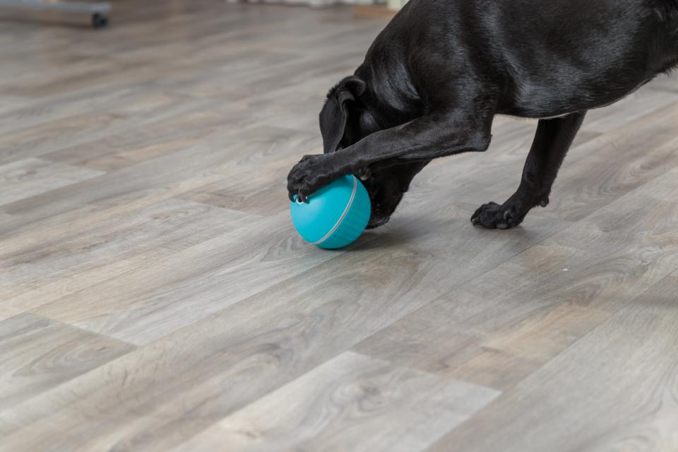 Trixie Snackbold i plastik