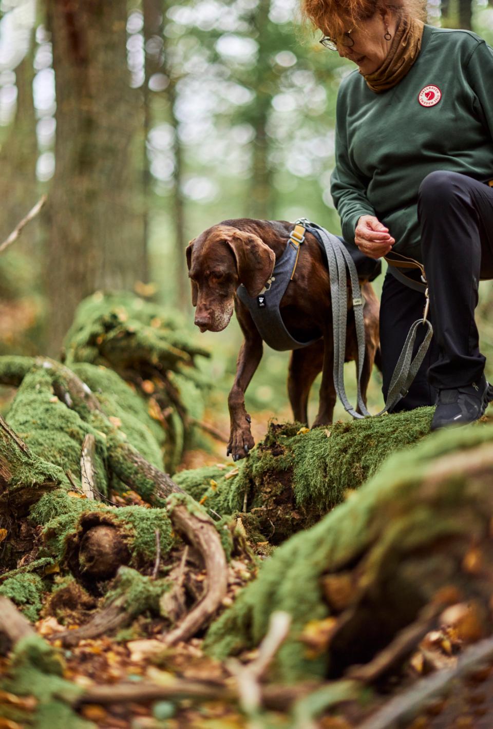 Hurtta Expedition Pack ECO hundesele