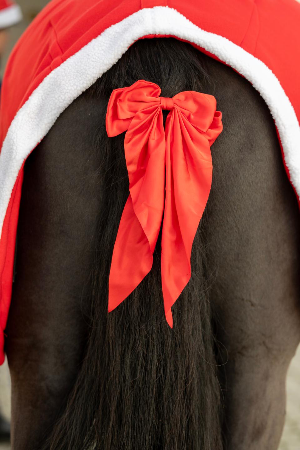 HorseGuard Christmas bow
