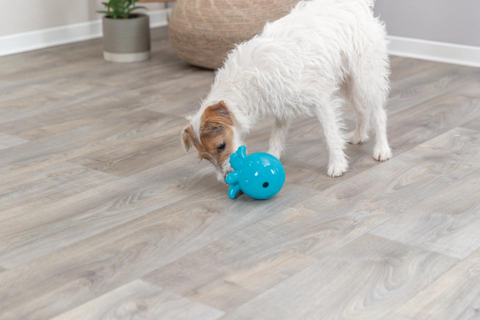 Trixie Snack-Octopus