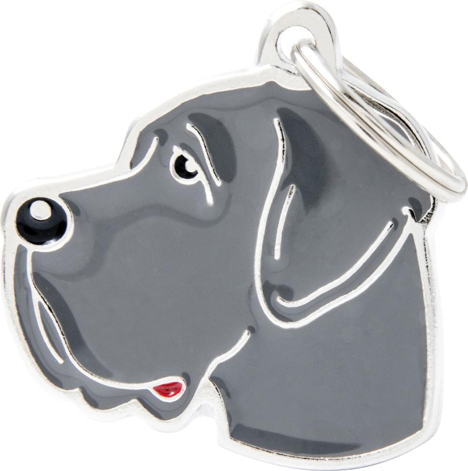 MyFamily Friends, Grand Danois