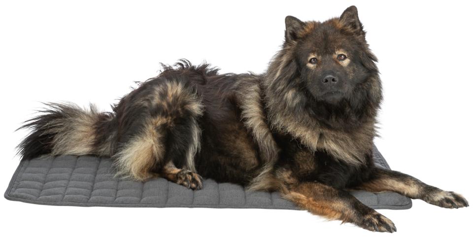 Trixie Caliente hundemadras