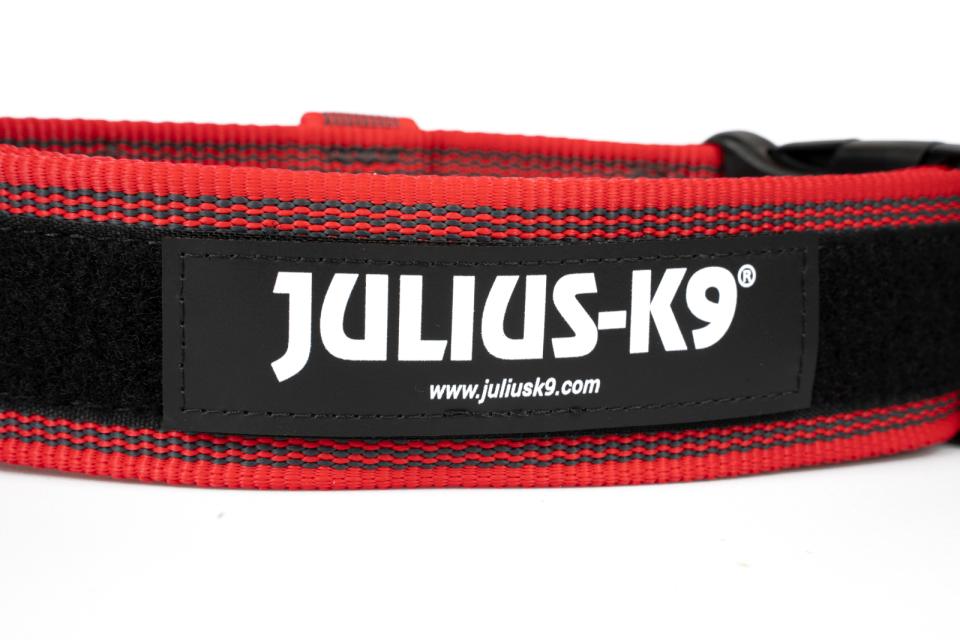 Julius-K9 C&G collars with handle