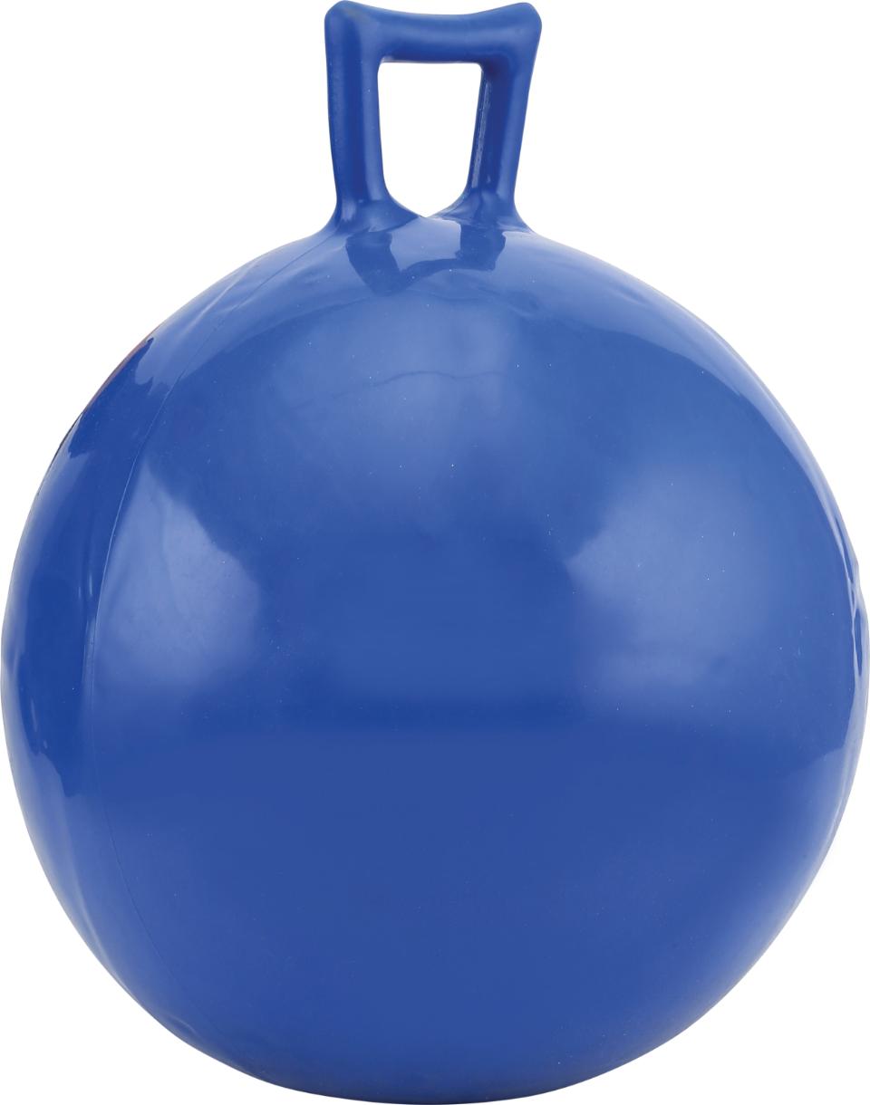 HorseGuard Play ball