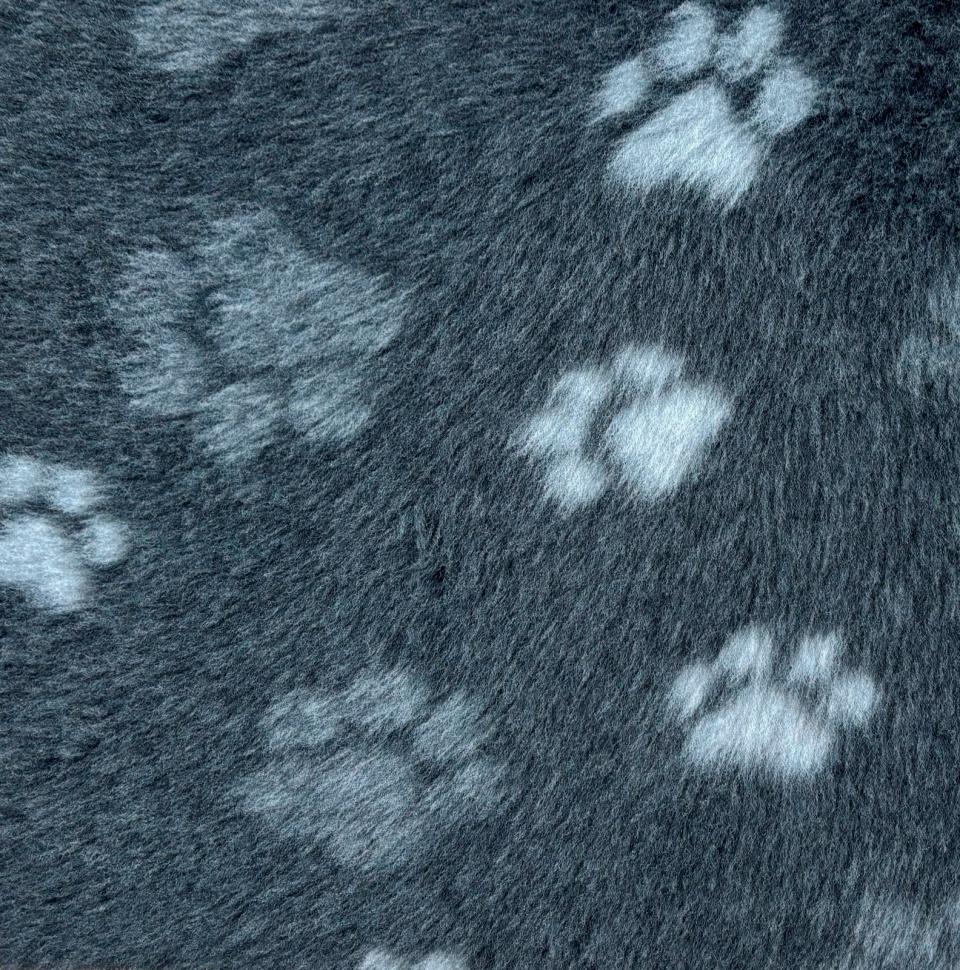 Companion ProFleece rug with paws